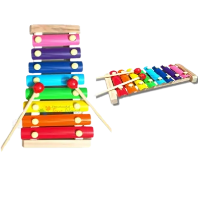 Kids Xylophone Musical Toy - Rokomari product
